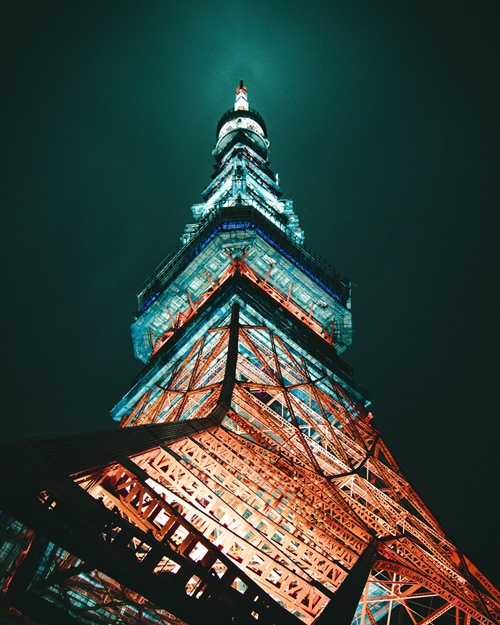 pexels spdel 3375997 500x625