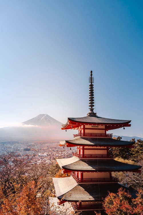 pexels willianjusten 15829426 japan 500x750