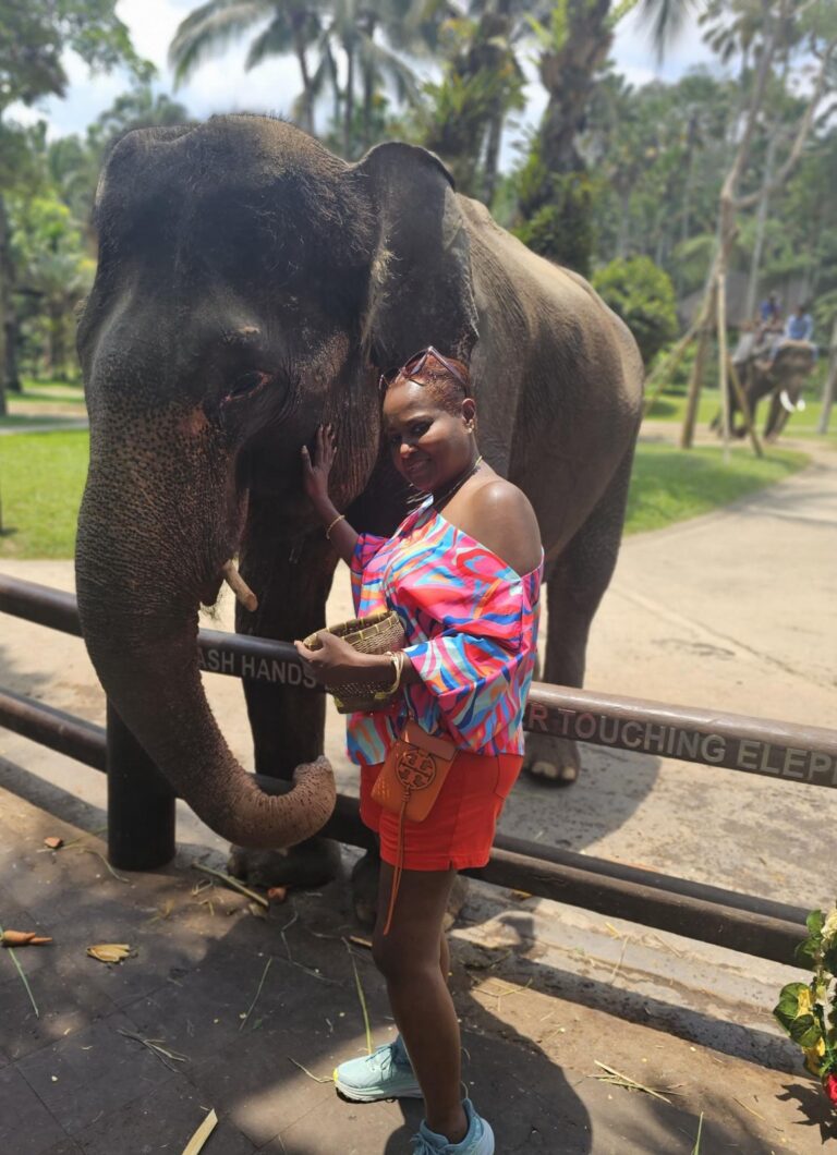 Gallery tymeless gallery bali elephant