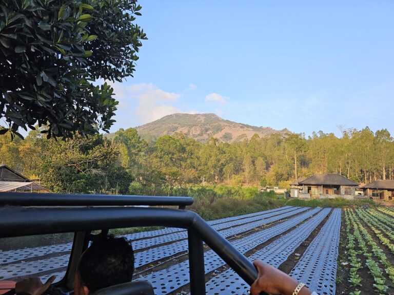 Gallery tymeless gallery bali jeep ride mountain view