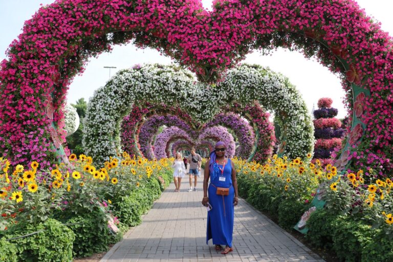 Gallery tymeless gallery dubai miracle garden