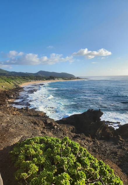 Gallery tymeless gallery hawaii coastline
