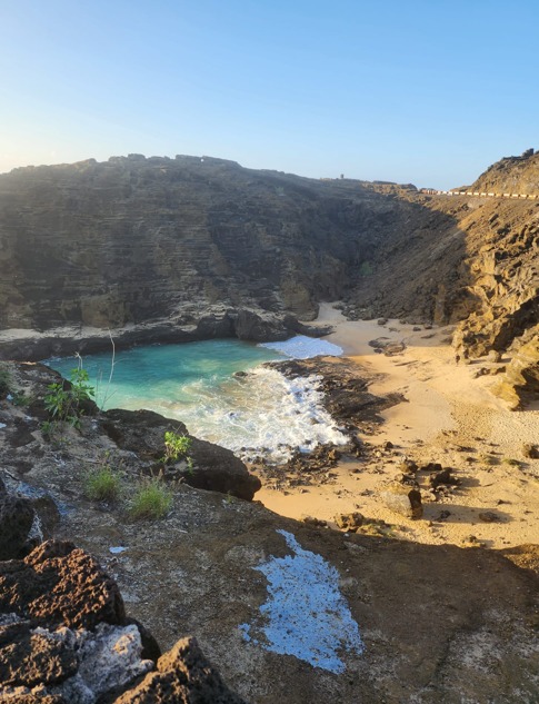 Gallery tymeless gallery hawaii halona cove