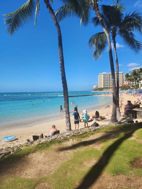 Gallery tymeless gallery hawaii waikiki beach