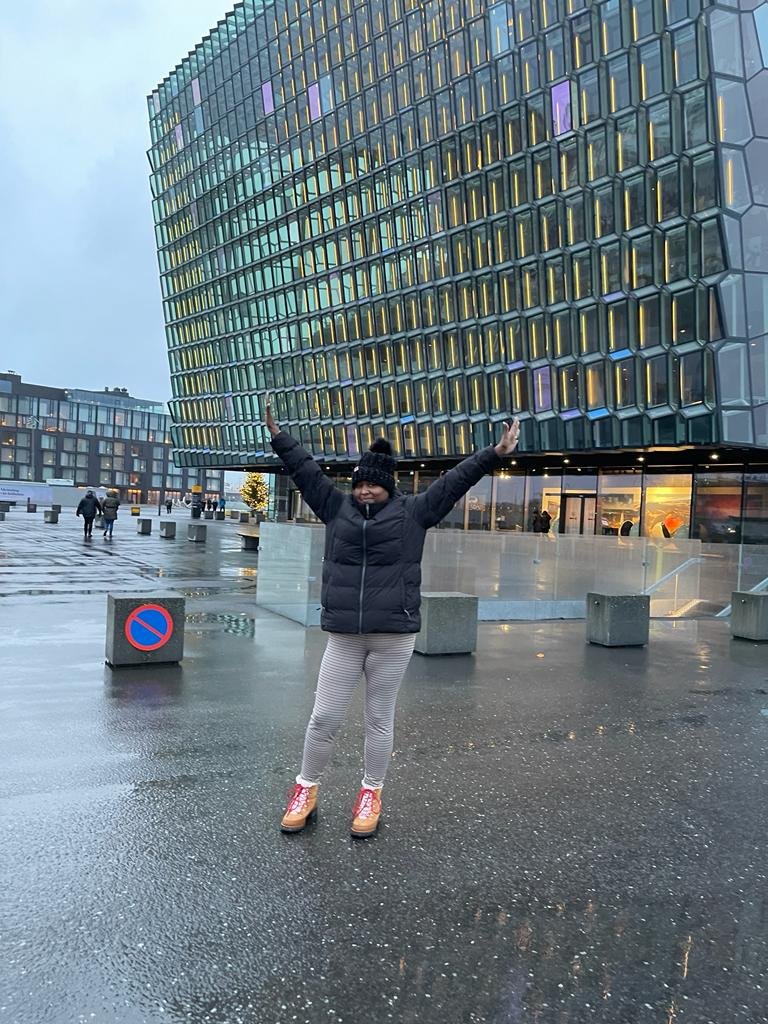 Gallery tymeless gallery iceland harpa