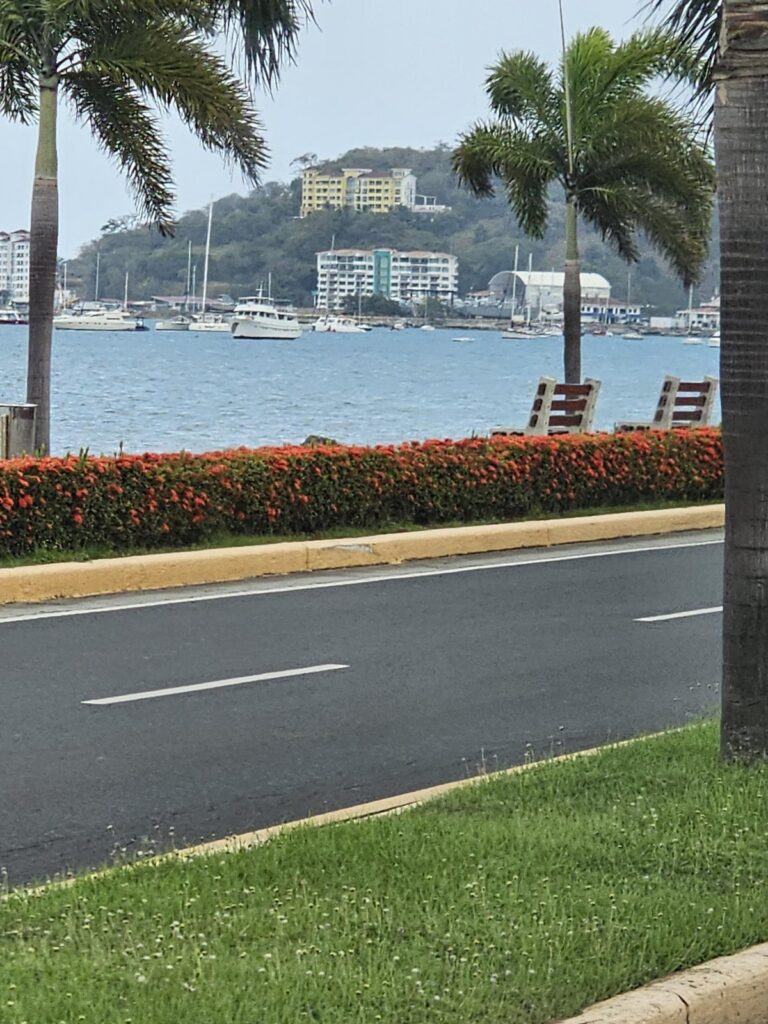 Gallery tymeless gallery panama amador causeway marina