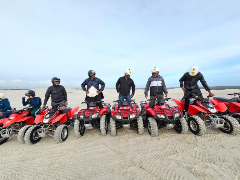 Gallery tymeless gallery south africa atv dunes