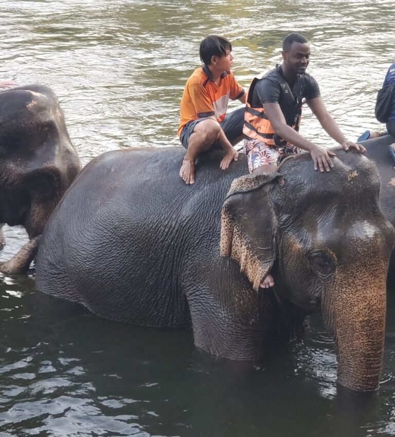 Gallery tymeless gallery thailand elephant river